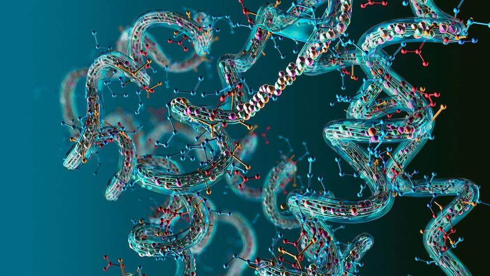 Fast-Forwarding Evolution: How T7-ORACLE Could Change Medicine Forever